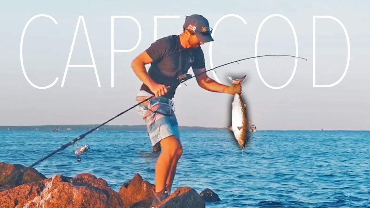 How to Catch False Albacore from Shore
