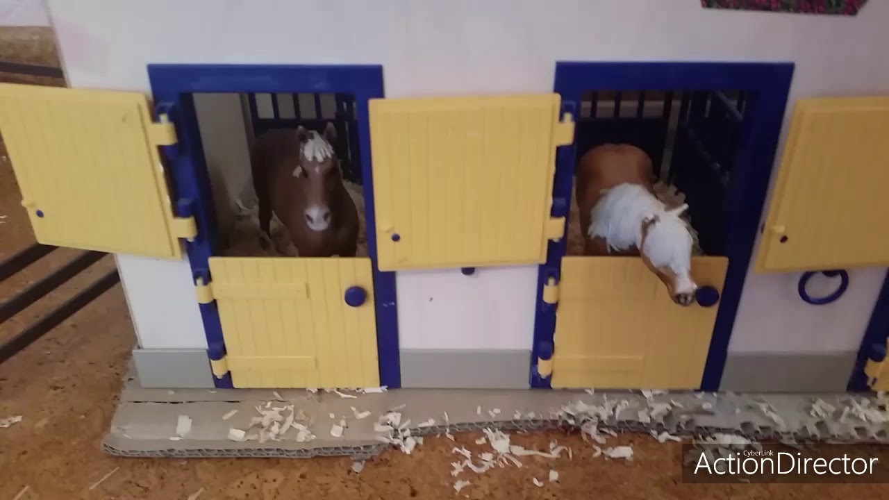 Pferd ab in deine Box!!!❤🐎