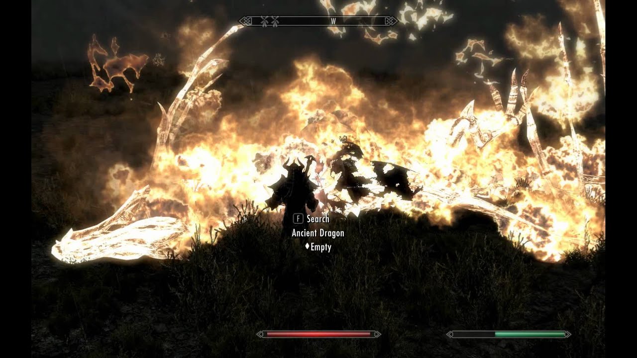 2hander vs dragon.avi