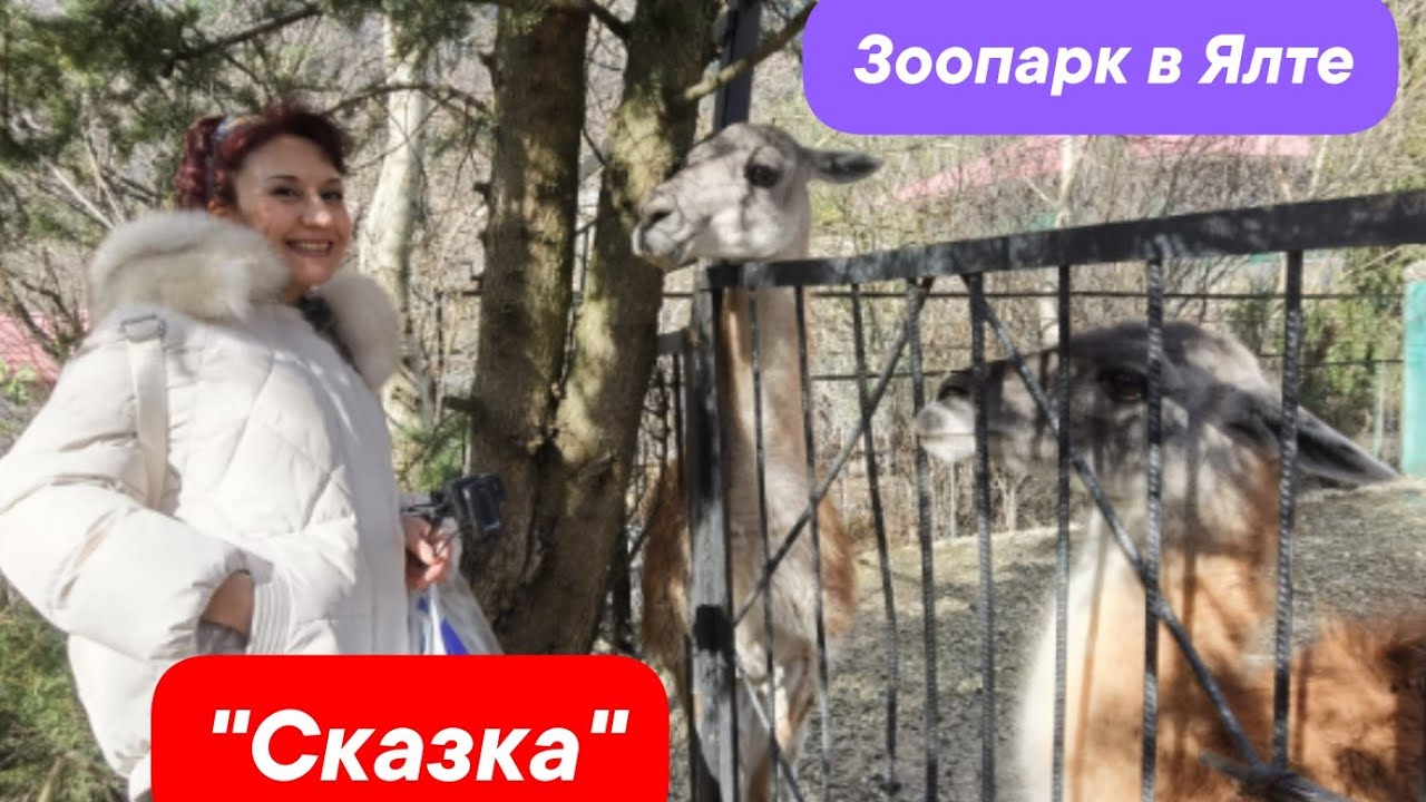 Зоопарк Зубкова в Ялте. Мы в ШОКЕ... от ВОСТОРГА!!! 