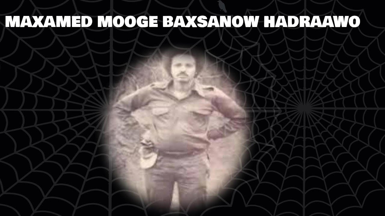 MAXAMED  MOOGE     | BAXSANOW HADRAAWO  |