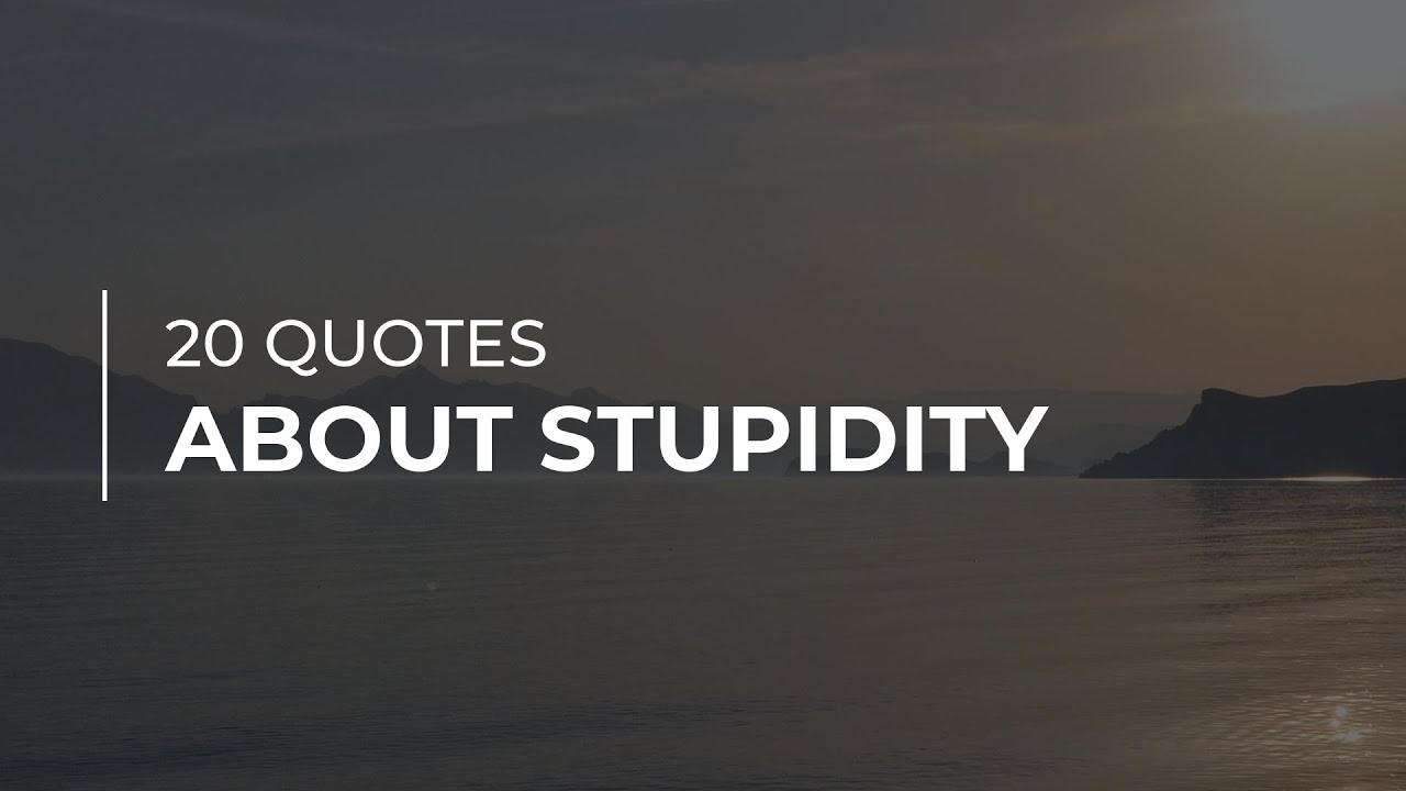 20 Quotes about Stupidity | Quotes for Facebook | Quotes for the Day