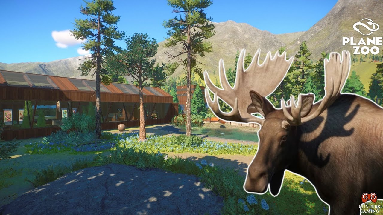 Moose on the Loose: Building a Moose Habitat | Ottawa Zoo | Planet Zoo Franchise Mode