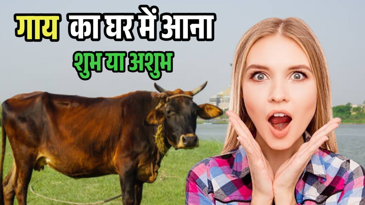 गाय का घर में आना शुभ या अशुभ //gay ka ghar mein aana shubh ya ashubh