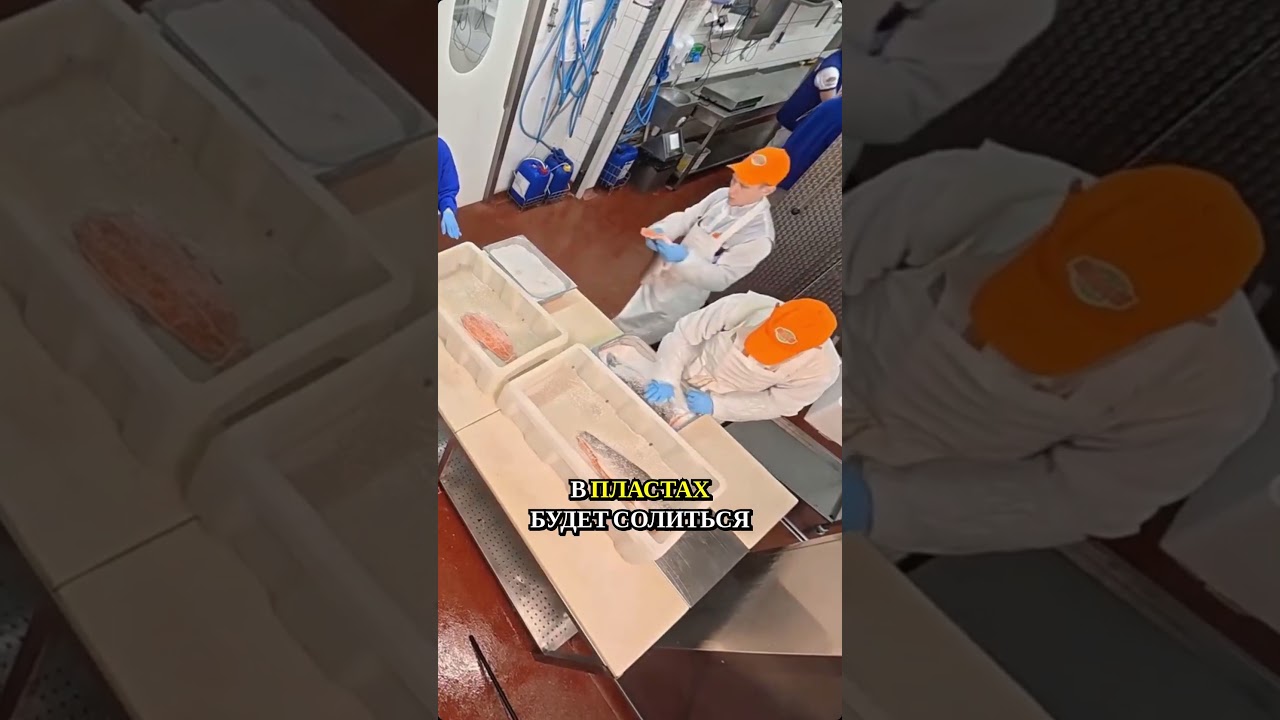 Сухая засолка красной рыбы &mdash; от выбора помола соли до образования &laquo;тузлука&raquo; #какэтосделано