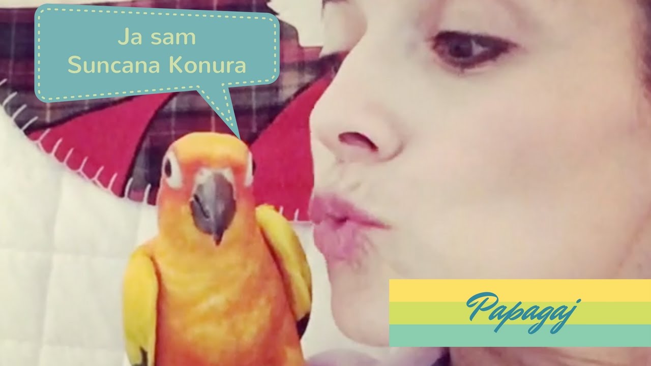 Papagaj kao kucni ljubimac,  da li je humano- Suncana Konura