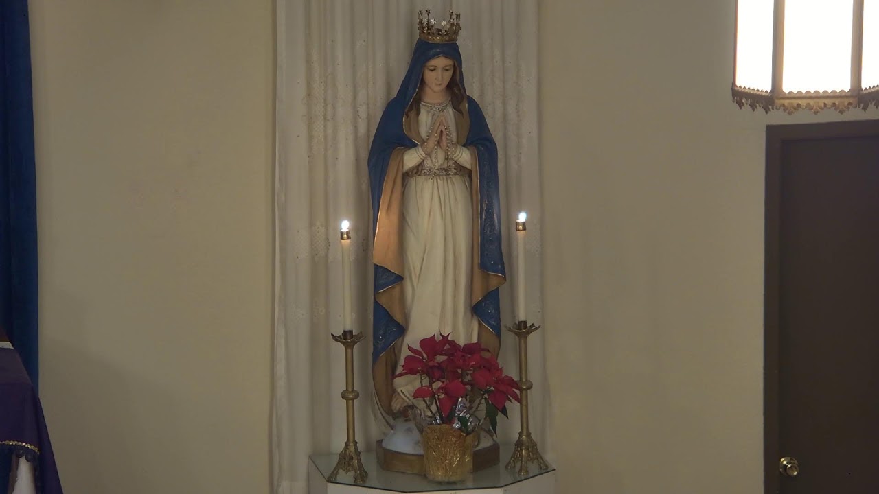 Rosary, February 12, 2026