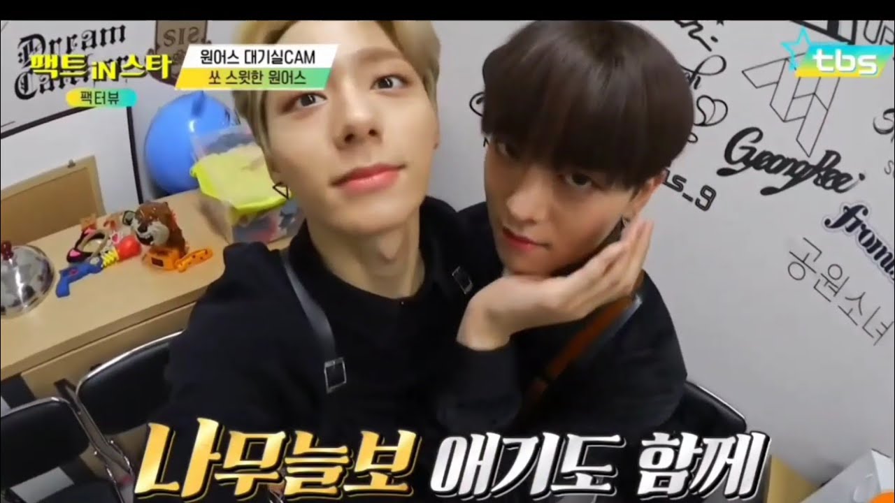 Oneus Ravn & Hwanwoong/ Youngwoong/ Hwanjo Moments #2