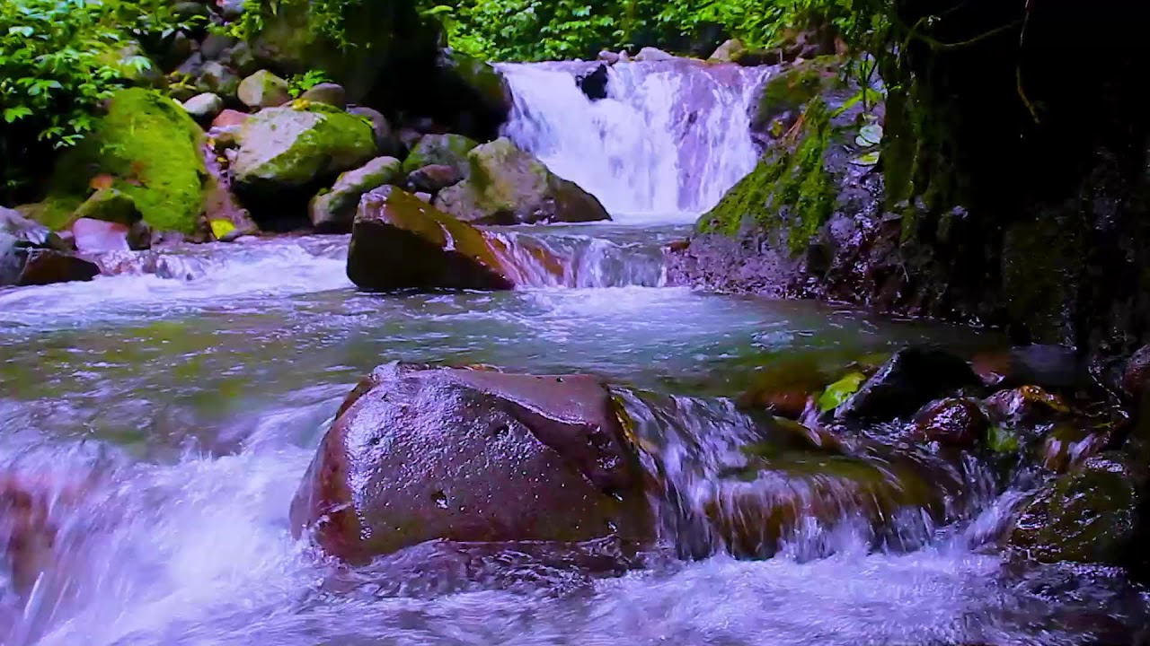 Mountain River Flowing Water Sounds for Deep Focus and Clean White Noise Background