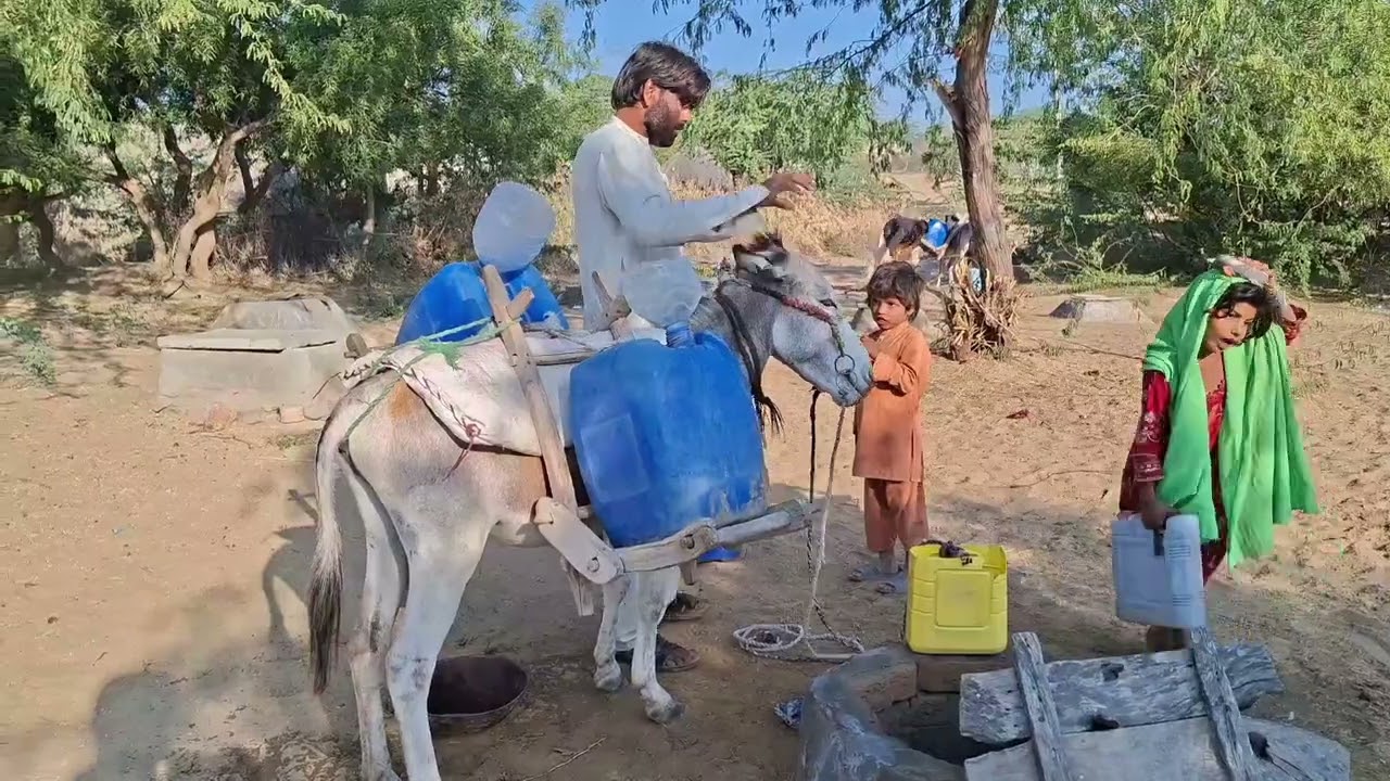 Documentary on water !Carrying Water on Donkeys in the Desert | Life in thar #viral #viralvideos