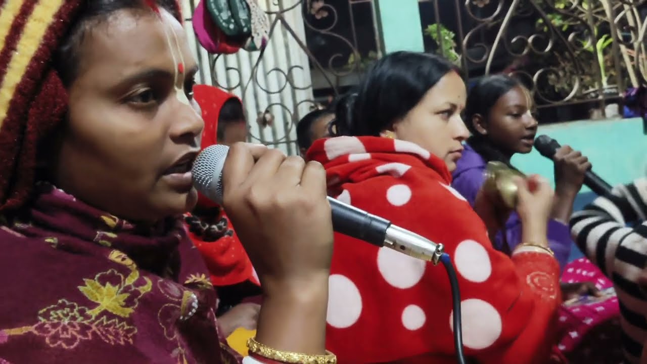নদীয়া গোদ্রমে#song #ISKCON#kitten#Nityananda#Nadia#bhakti#bhajan