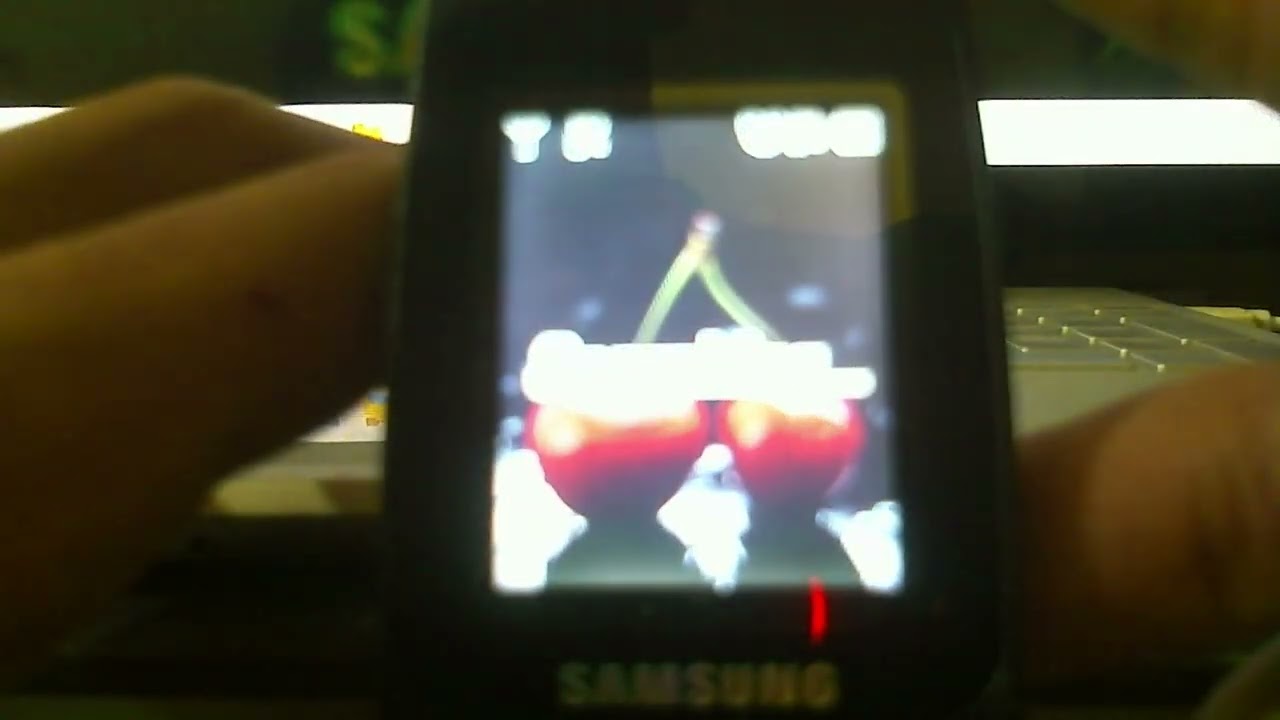 Samsung SCH-S389 Startup and Shutdown