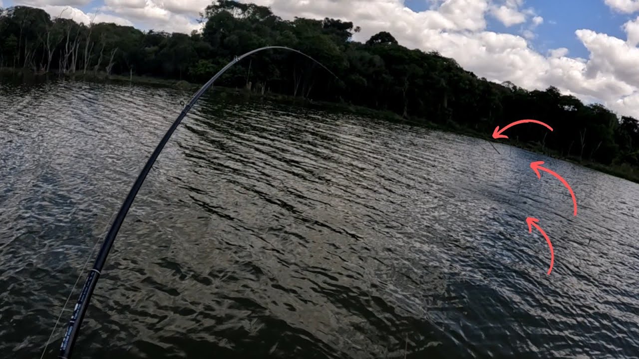 Pancadaria no Spinner Bait. Cada arremesso pode sair um peixe. Represa de Tibagi.