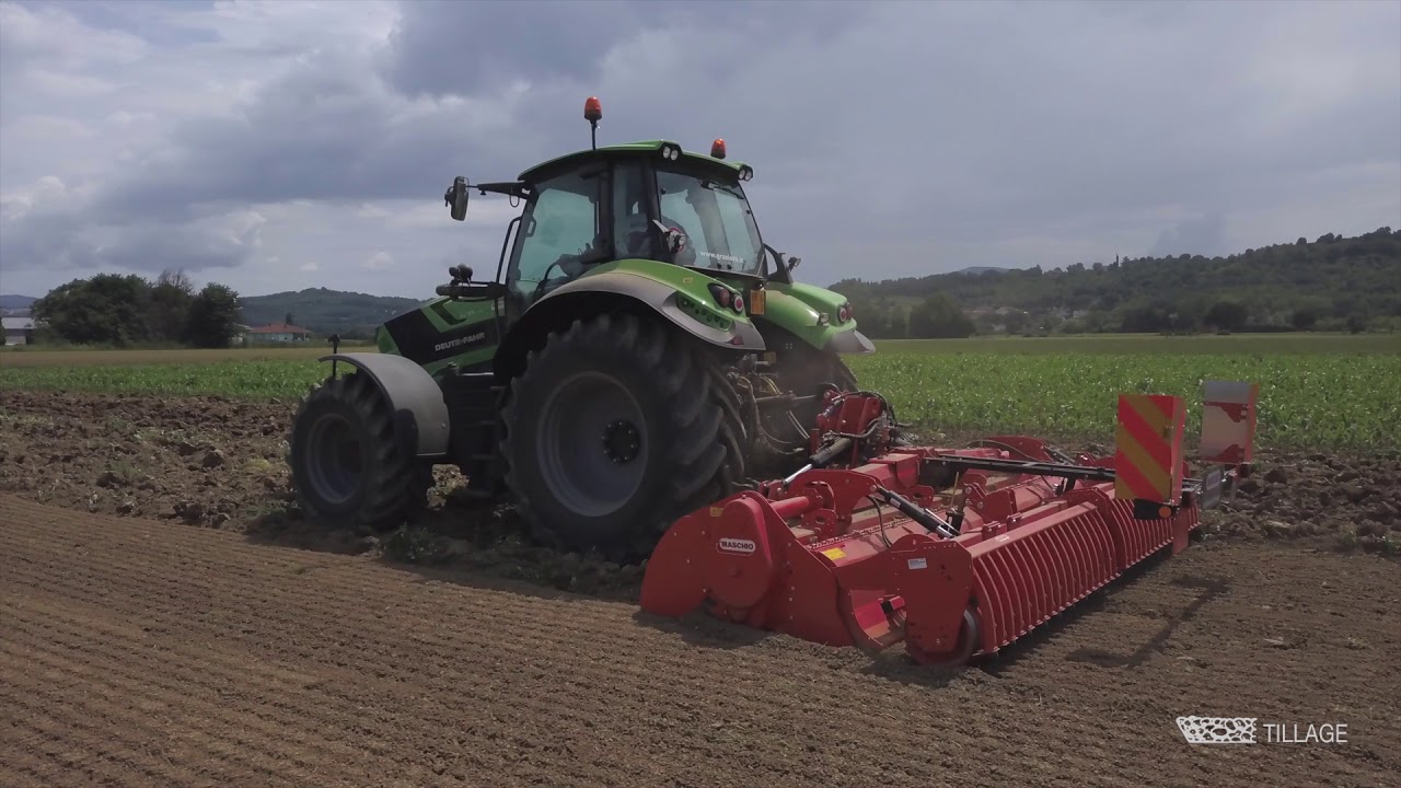 MASCHIO GASPARDO  - PANTERA L REVERSE