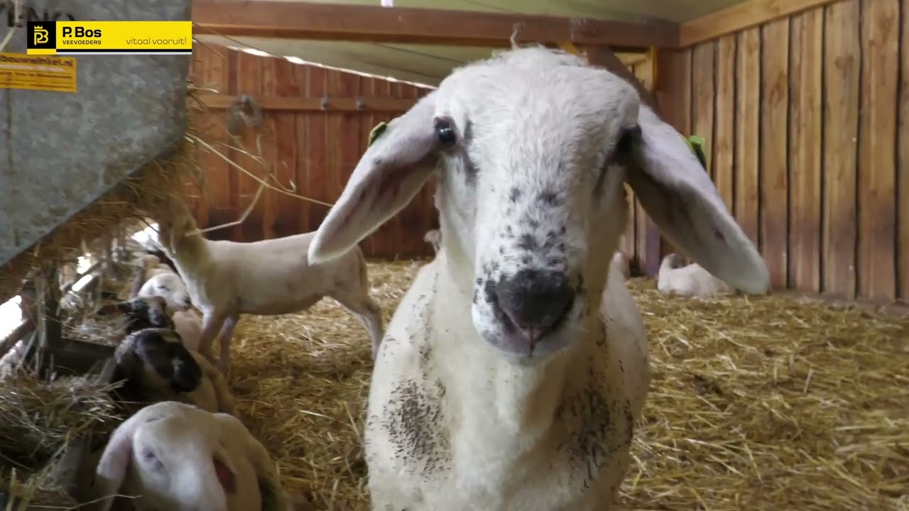 Klantervaring Zorgboerderij Daalhoeve in Maastricht.