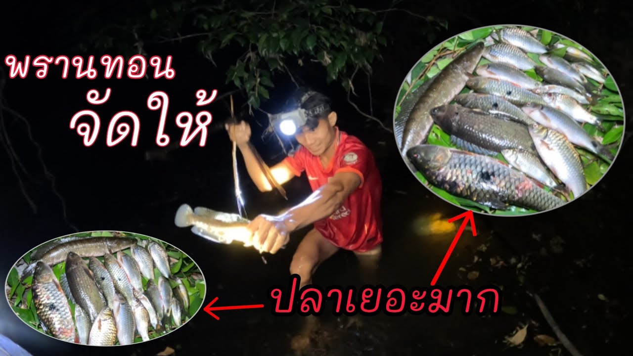 ลาบปลาฝีมือพรานทอน/ກິນລາບປາຝີມືພານທອນ