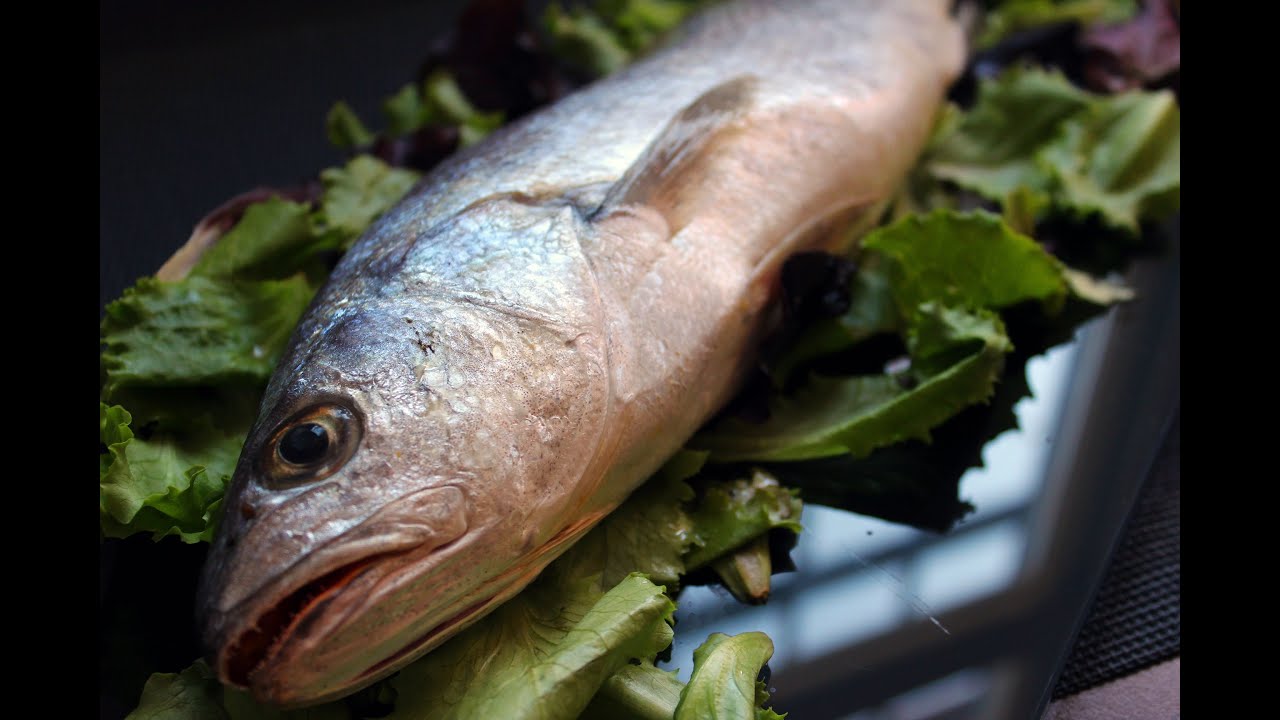 COMO LIMPIAR PESCADO - CORVINA