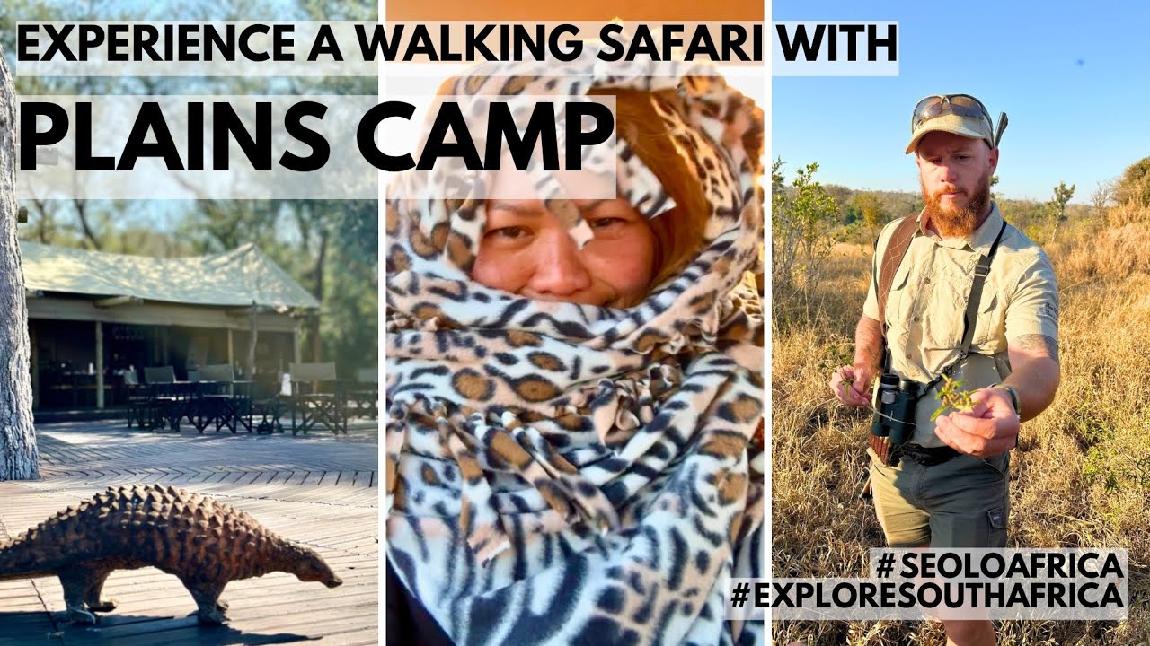 PLAINS CAMP - WALKING SAFARI with SEOLO AFRICA | Back in Kruger Nat’l Park