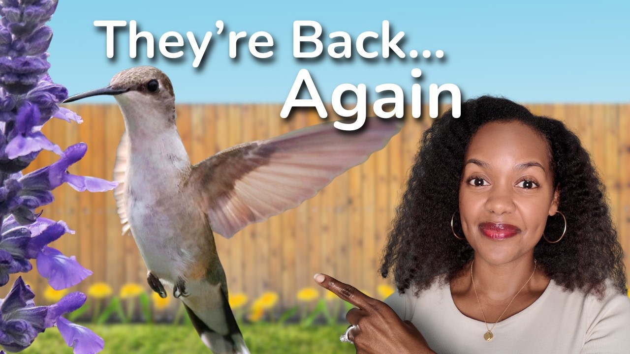 Discover More of Florida’s Backyard: New Birds (and a Surprise Guest) You’ll Love