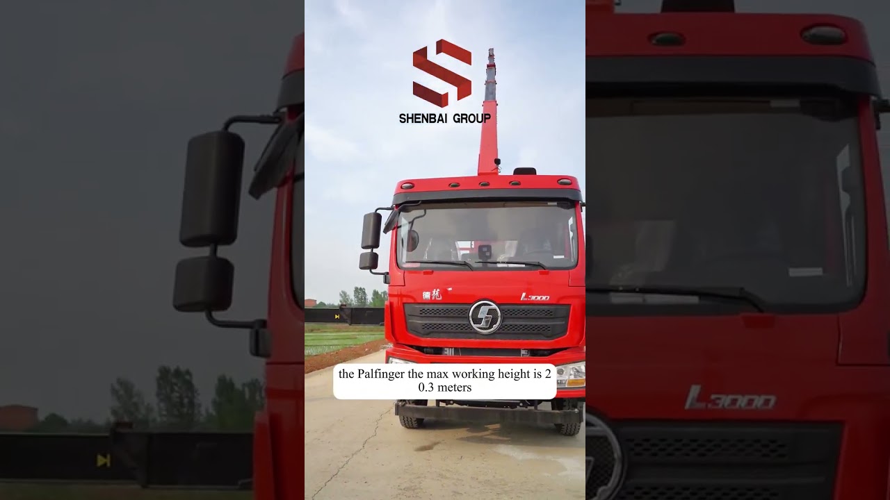 8x4 DONGFENG Truck Mounted With Palfinger 14Ton Telescopic Boom Crane