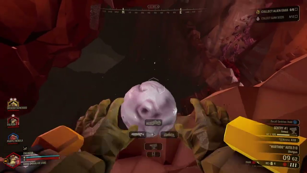 Sakura Void Community Night! (Deep Rock Galactic) #11