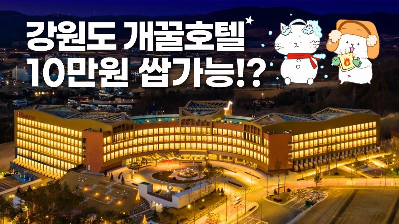 강원도 여행 1타3피 풀코스 - 스키장부터 대관령목장 라마다 평창호텔까지 한방에 쌉가능