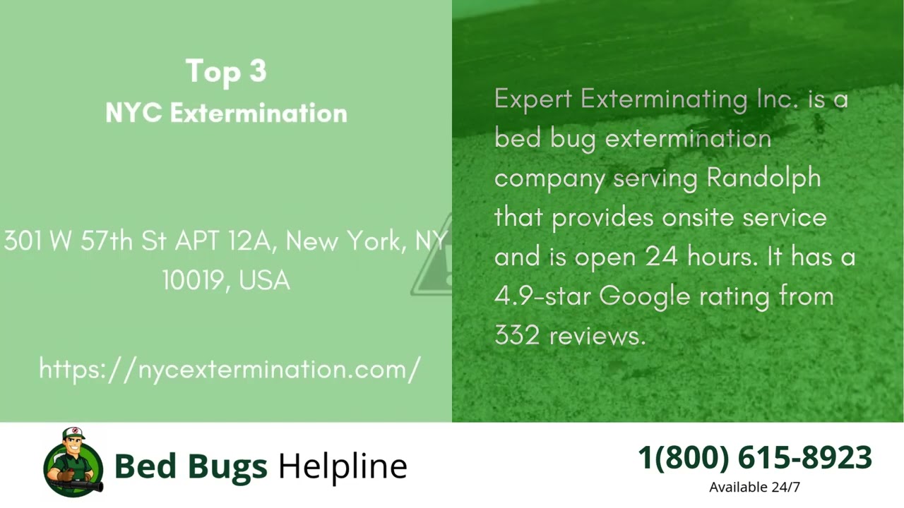 Top 3 Bed Bug Removal Companies in Randolph
