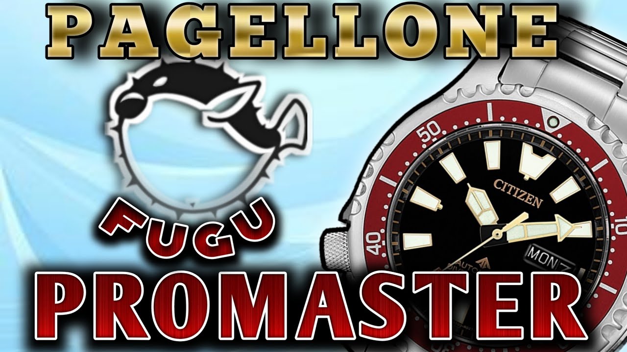 IL PROMASTER FUGU MERITA??