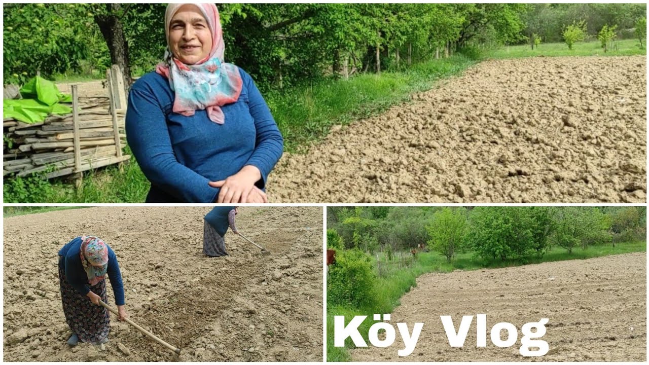 Bağ Bahçe İşleri (Tarla Vlog)