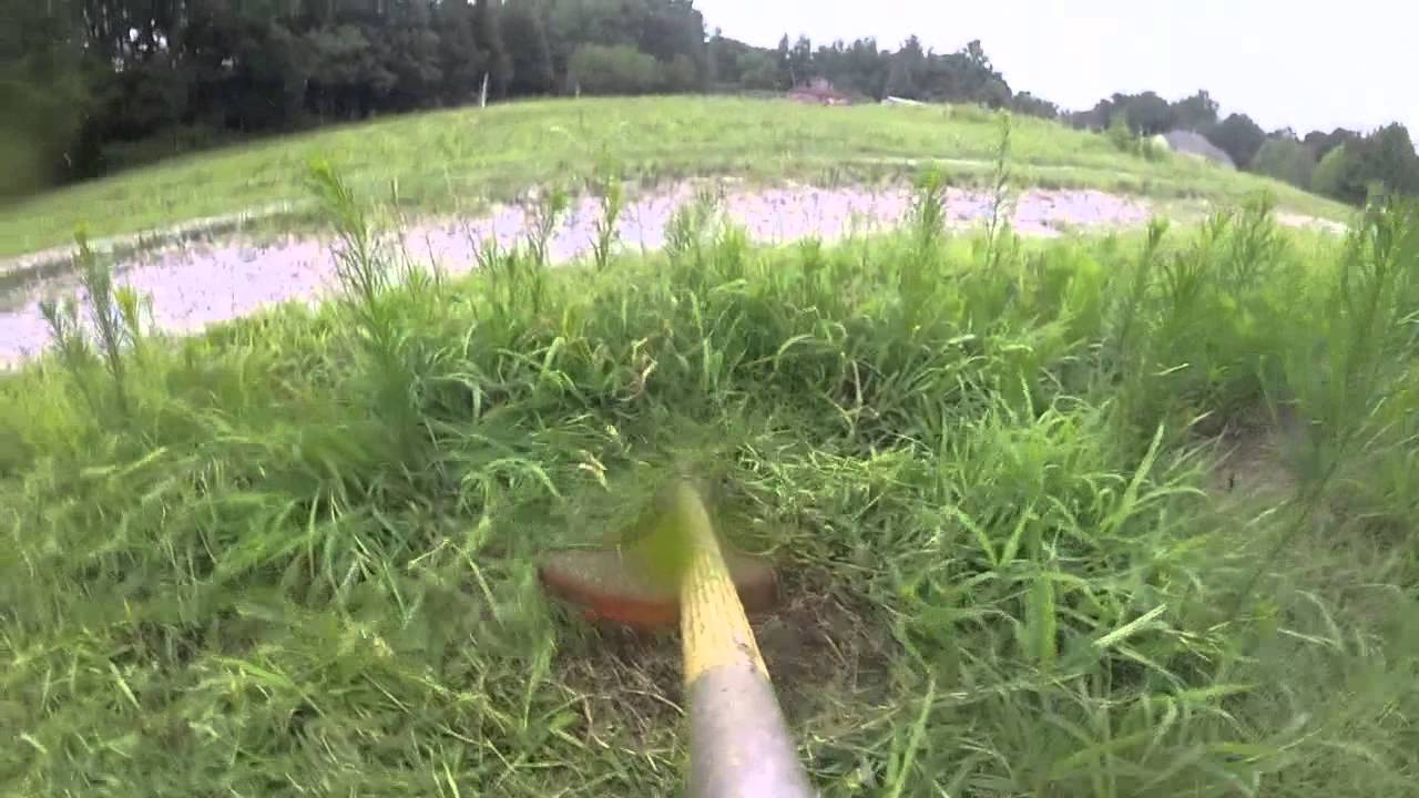 Weedeating a fence line