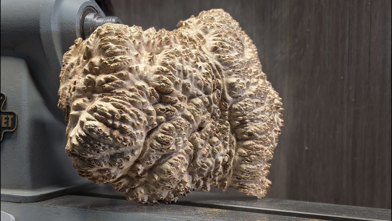 This Does NOT Look Like Wood! – Mallee Burl on the Lathe 