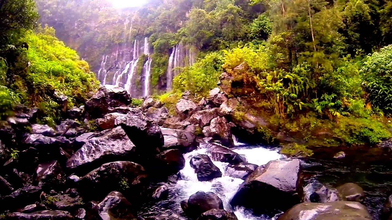 Reunion Island (L'ile intense)