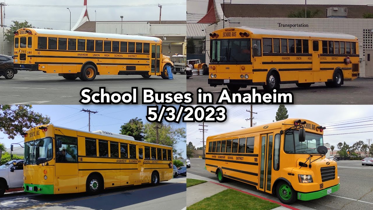 School Buses in Anaheim - 5/3/2023