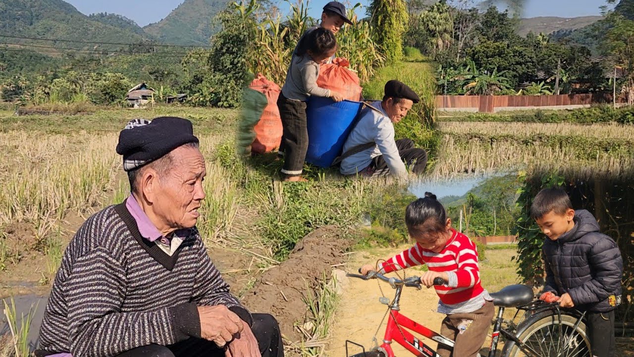 (Full video) Daily life of an 80-year-old man and his grandchildren helping each other harvest crops