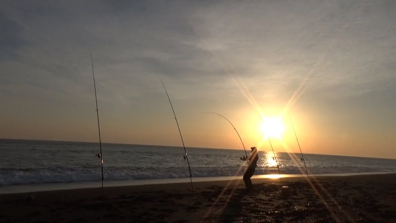 【鮭釣り】時化の前は高活性！？アタリが止まらない