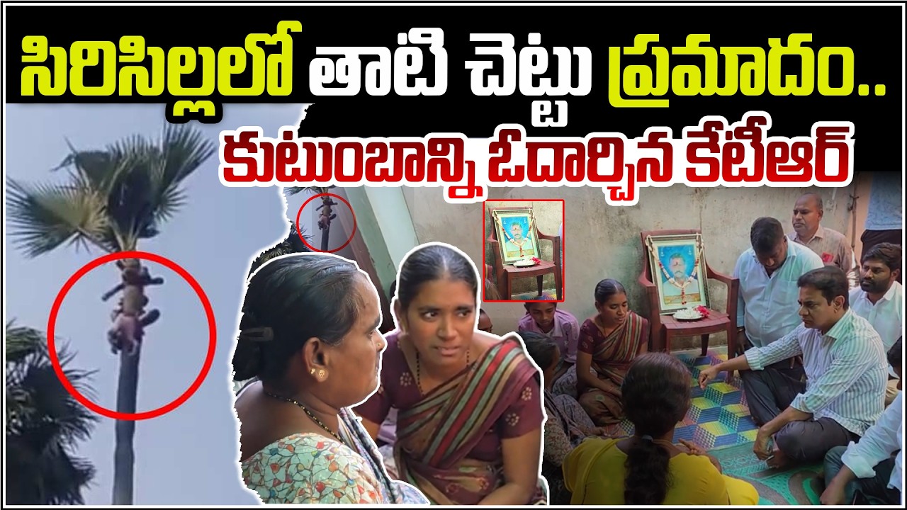 సిరిసిల్లలో తాటి చెట్టు ప్రమాదం.. కుటుంబాన్ని ఓదార్చిన కేటీఆర్ | Qnews