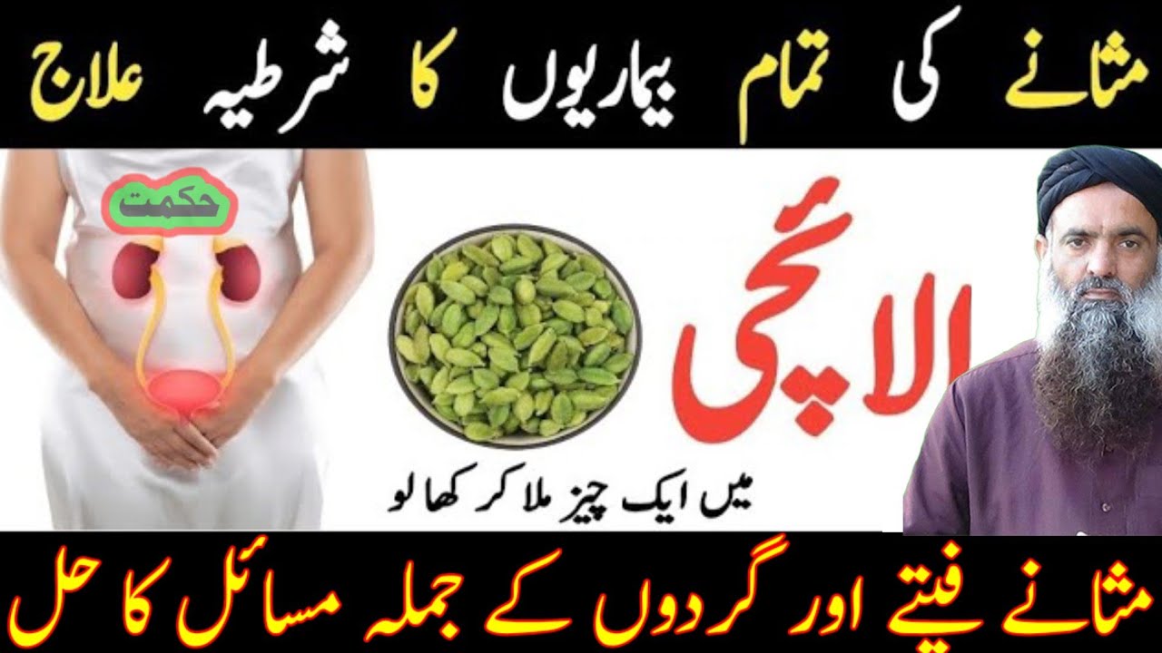 Hikmat ki Batain Urdu ! Quotes About Life ; Motivational Golden Words Dr sharafat Ali25 
