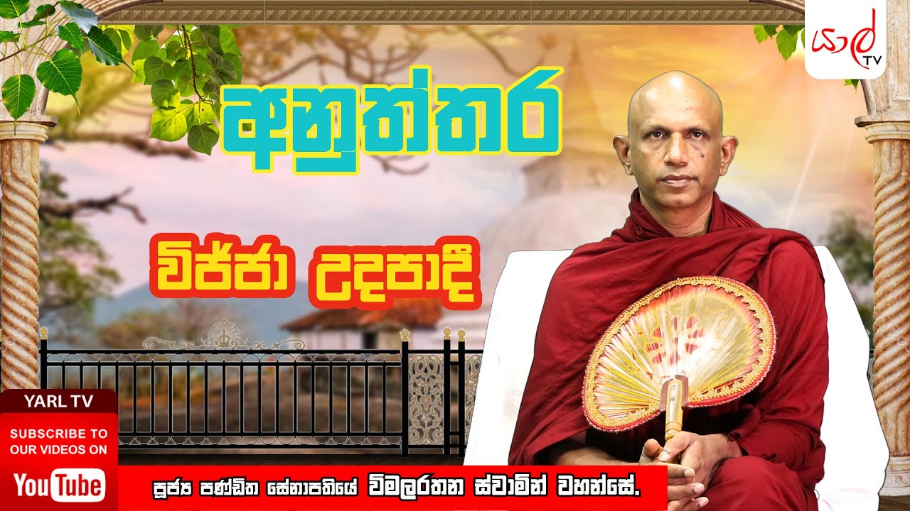 අනුත්තර  | විජ්ජා උදපාදී | පූජ්‍ය විමලරතන ස්වාමින් වහන්සේ | Episode 14