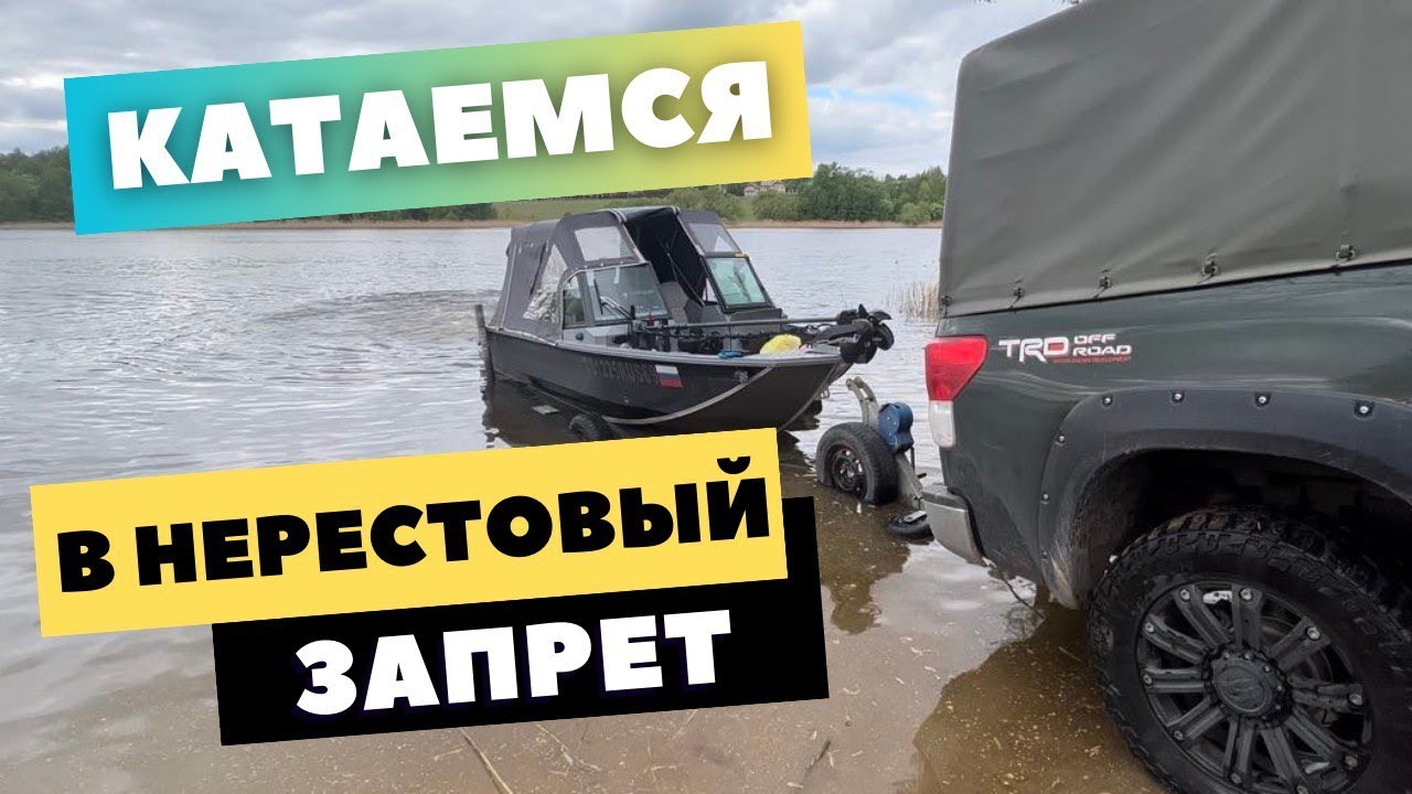 катаемся в нерестовый запрет истр вод