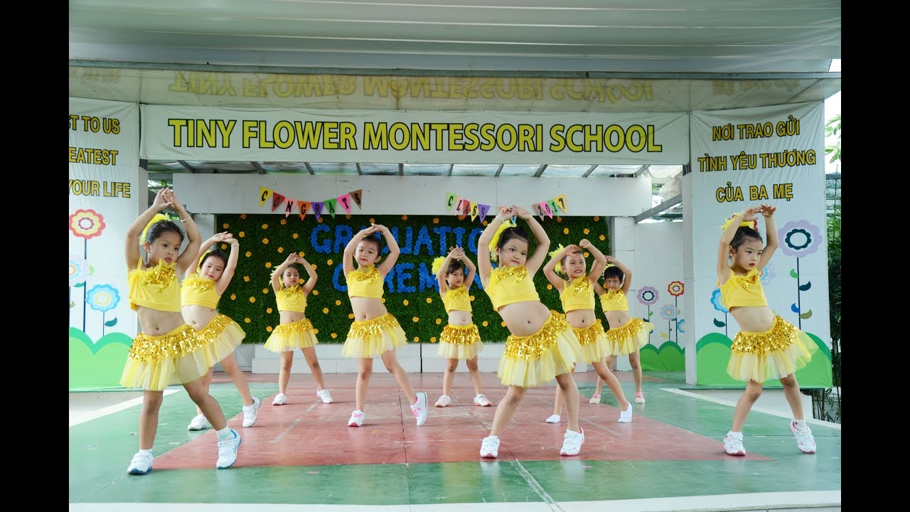 Best Kids Dance | Tập 3 | Liên khúc Samba thiếu nhi - Trường Mầm non Tiny Flower Montessori