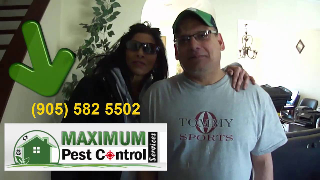 Pest Control Service Burlington Ontario