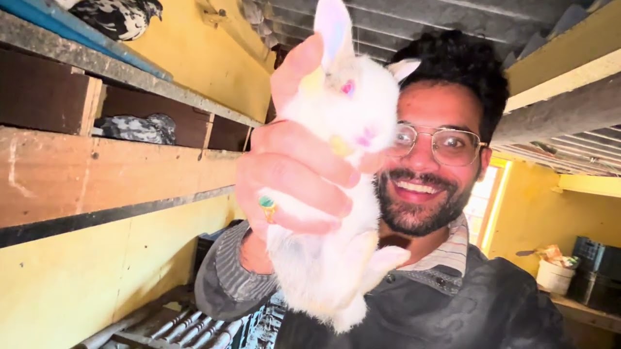 Cute Rabbit Babies Growing Fast! | Baby Rabbits Ne Ghas Khana Shuru Kar Di
