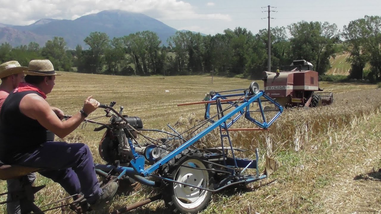 [MIETITURA E TREBBIATURA D' EPOCA PONTECORVO 2024] BCS - LAVERDA - LANDINI 30 - IMAS