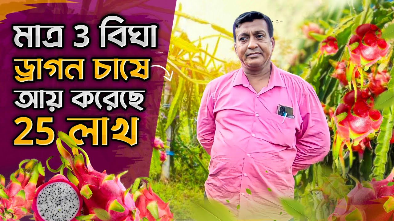 মাত্র 3 বিঘা ড্রাগন ফল চাষে আয় করেছে 25 লাখ | Dragon Fruit | Dragon Fruit Farming |