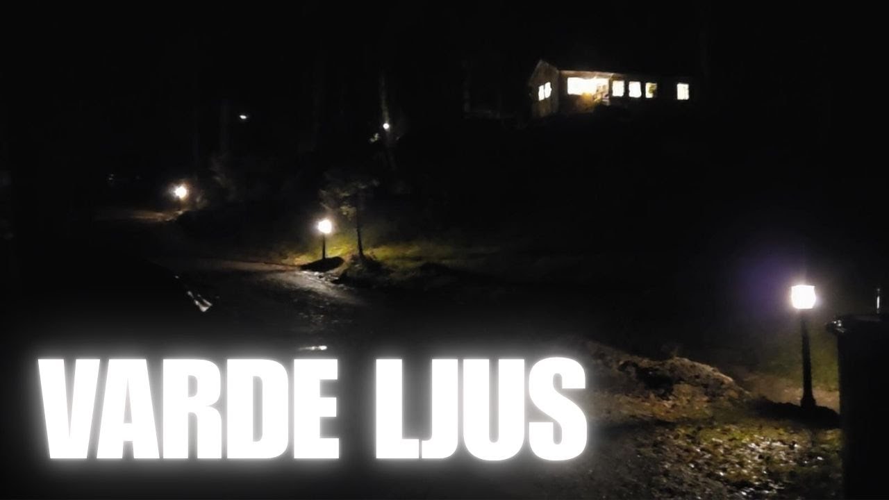 💡Äntligen UTEBELYSNING i mörkret // Kommer vi få några VINTERÄGG? ❄️ 🐔