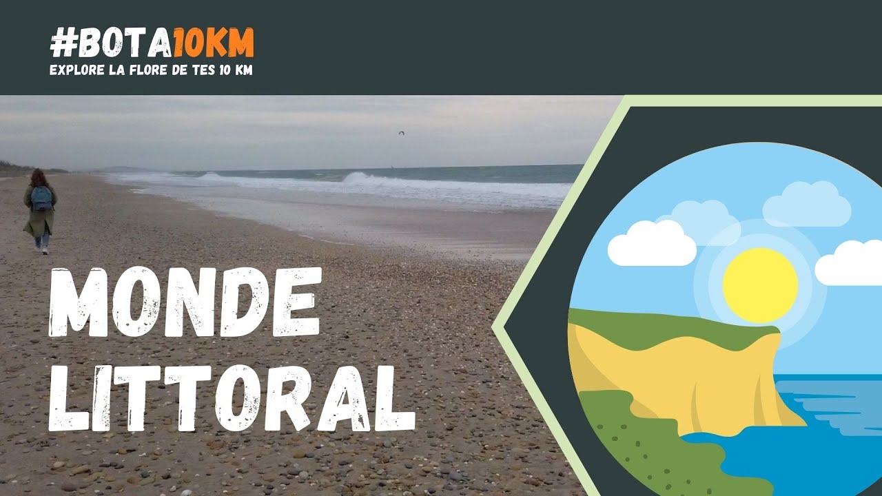 #Bota10km : le Monde littoral