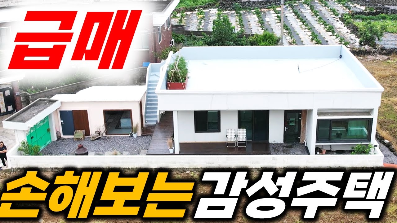 (초급매) 4억대에서 3억대로 내린 제주도 예쁜집이에요 H-237 진짜 손해를 많이 보지만 빨리 팔고 싶어요