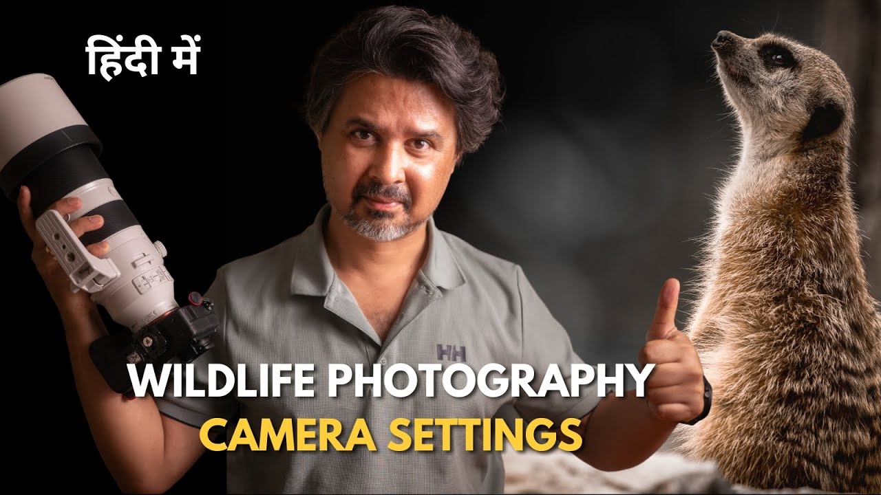 Camera Settings for Wildlife Photography | Beginner’s Guide