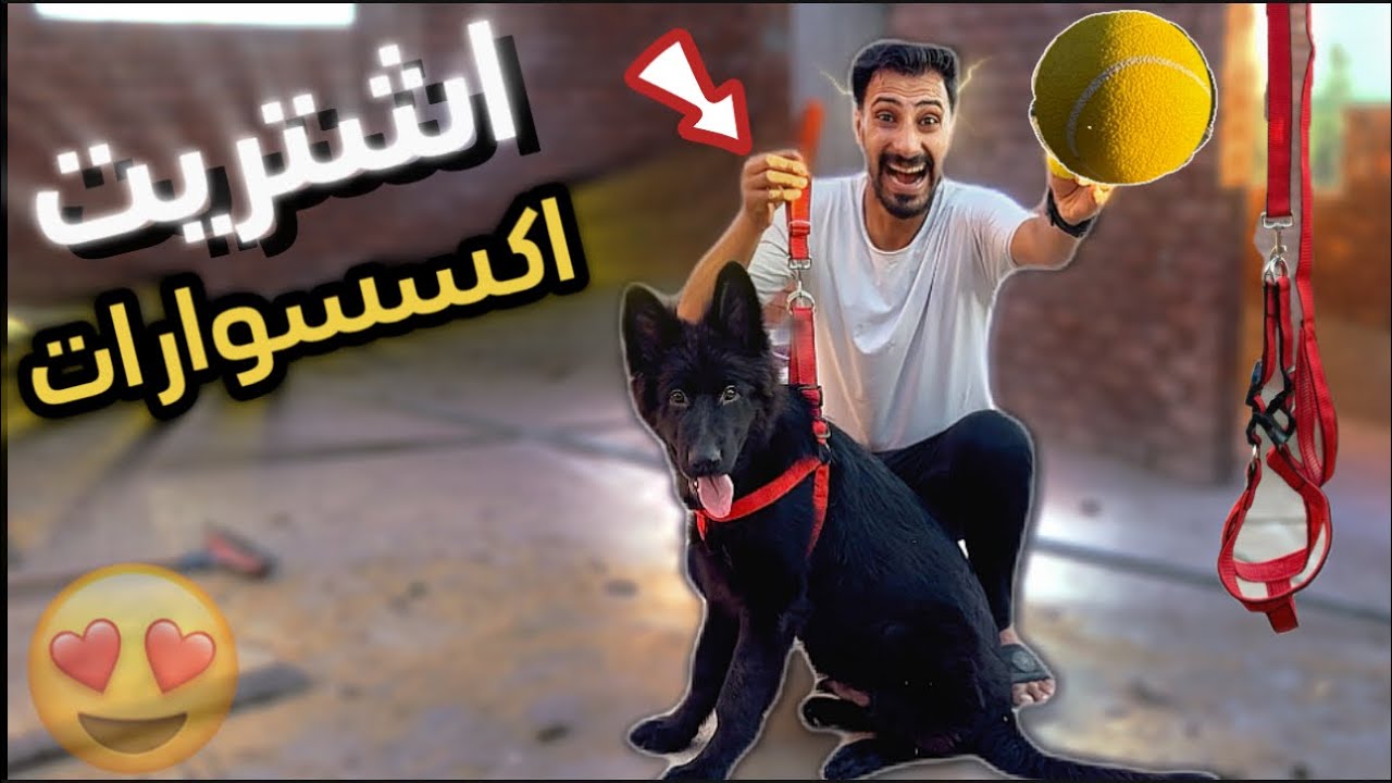 اشتريت اغلي ( بدله وكوره ) لشعبولا 😍