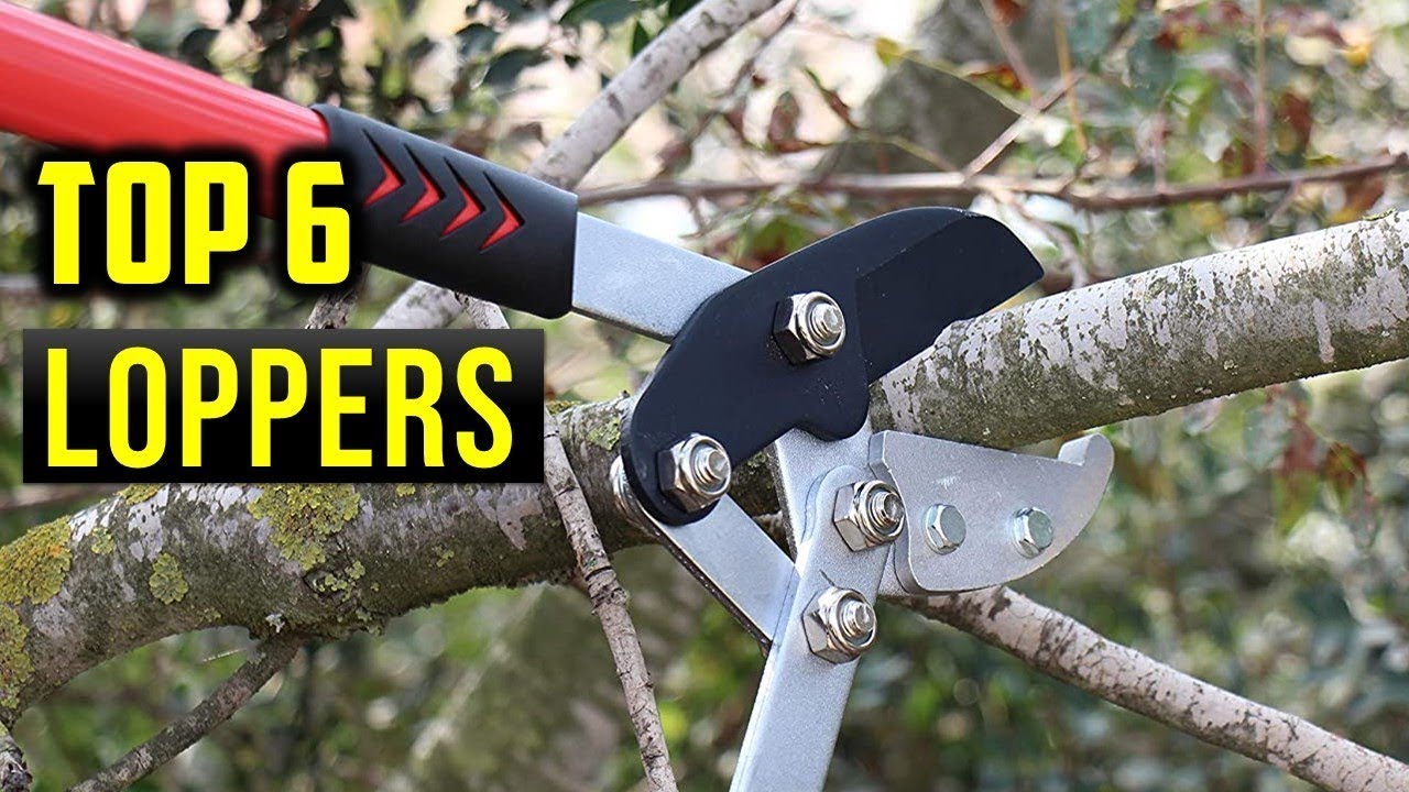 ✅ Top 5: Best Lopper 2022 [Tested & Reviewed]